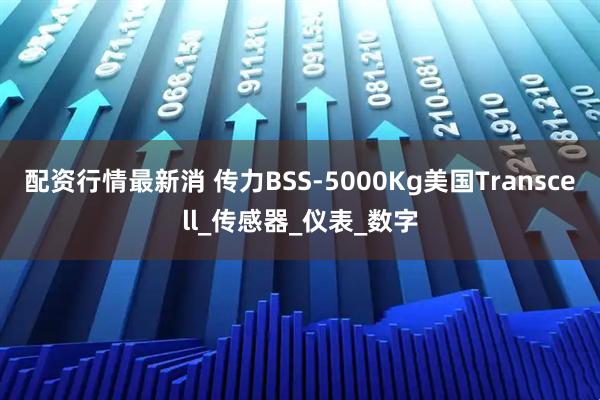 配资行情最新消 传力BSS-5000Kg美国Transcell_传感器_仪表_数字