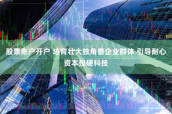 股票账户开户 培育壮大独角兽企业群体 引导耐心资本投硬科技