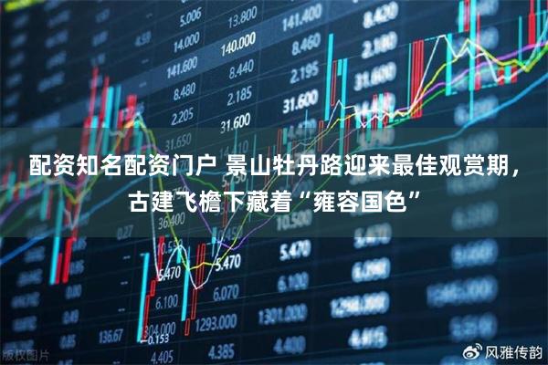 配资知名配资门户 景山牡丹路迎来最佳观赏期，古建飞檐下藏着“雍容国色”